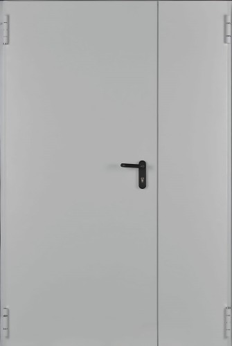 Drzwi przeciwpożarowe EI30 ✅ dwuskrzydłowe 110’ (110 x 200 cm) 