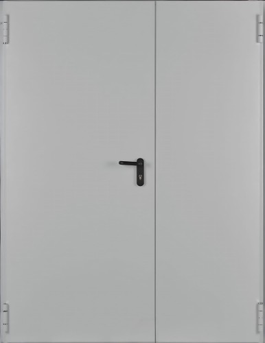 Drzwi przeciwpożarowe EI30 ✅ dwuskrzydłowe 150’ (150 x 200 cm)